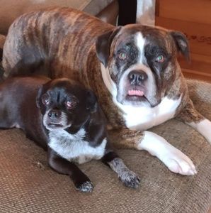 Meet your Posher, Cheryl e.